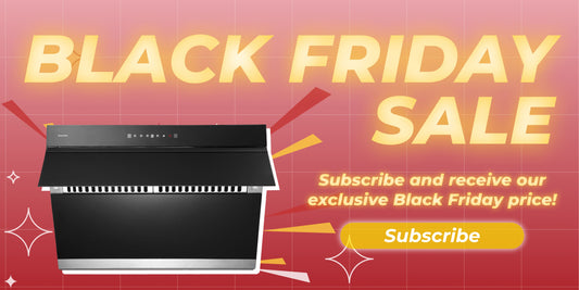 Subscribe and receive our exclusive Black Friday price!