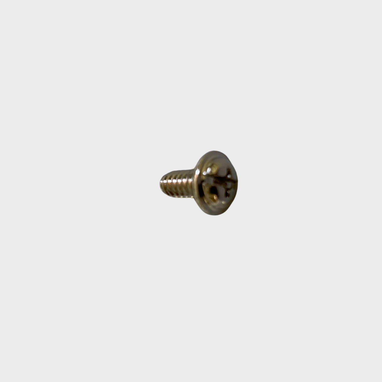 Vane Guard Screw
